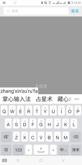 掌心輸入法