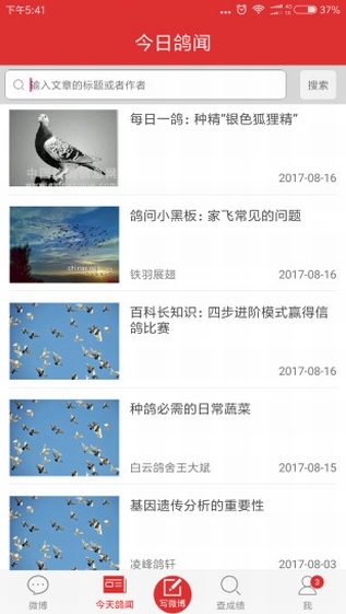 搜鴿天下