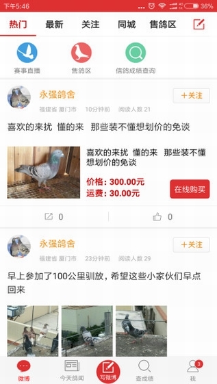 搜鴿天下