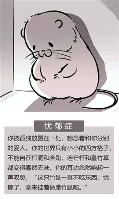 竹鼠：活下去 官方版