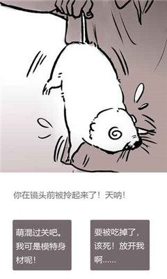 竹鼠：活下去 官方版