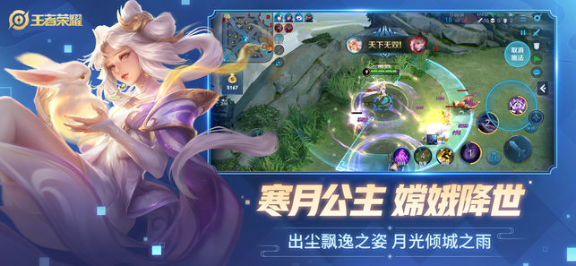 王者榮耀體驗(yàn)服