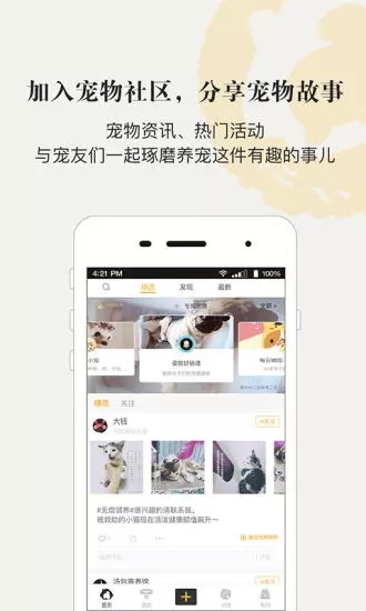 小狗在家寵物寄養