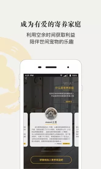 小狗在家寵物寄養