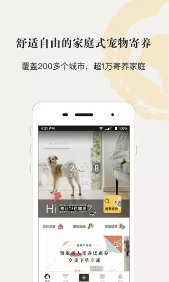 小狗在家寵物寄養