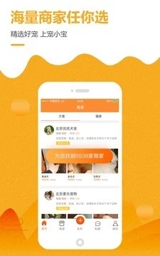 寵小寶