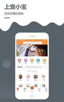寵小寶