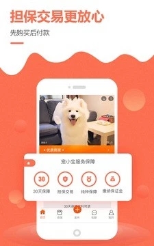 寵小寶