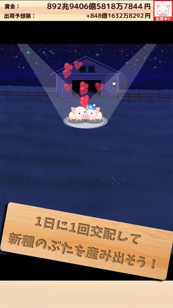 上市小豬