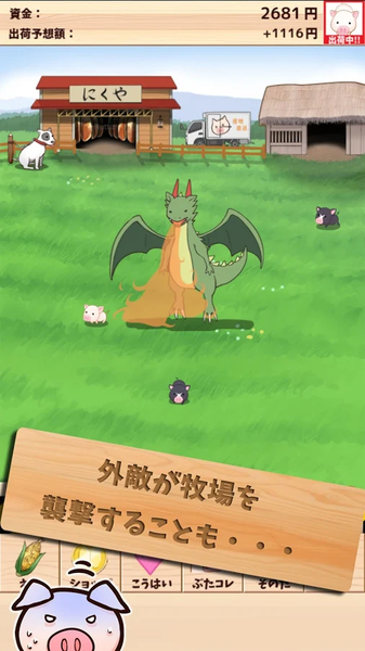 上市小豬