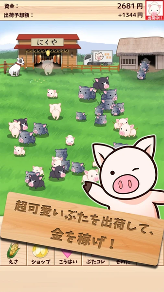 上市小豬