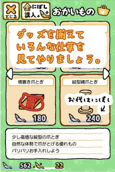 貓咪后院