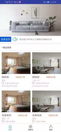 海棠花