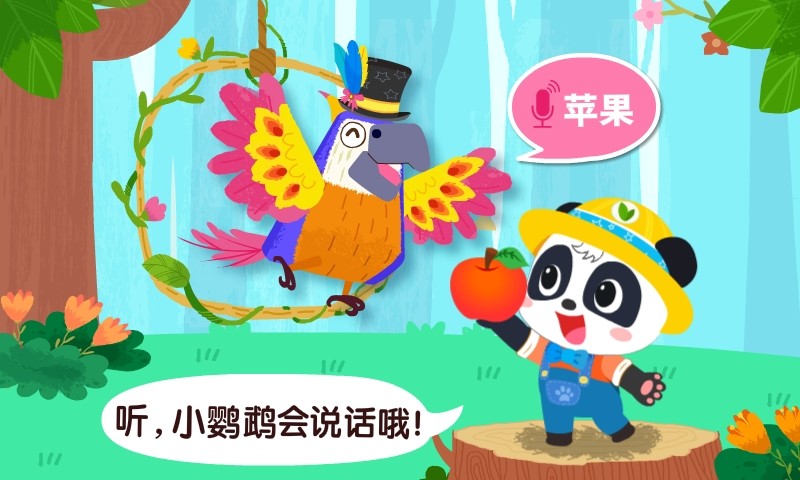 寶寶鳥類認知
