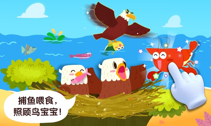 寶寶鳥類認知