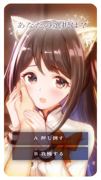貓咪女友我可愛的小貓