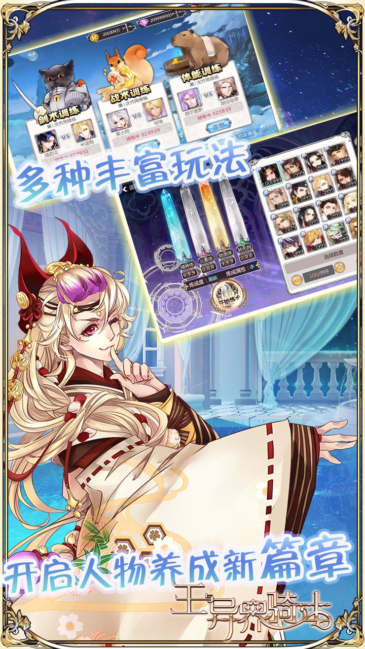 王與異界騎士BT 果盤(pán)版