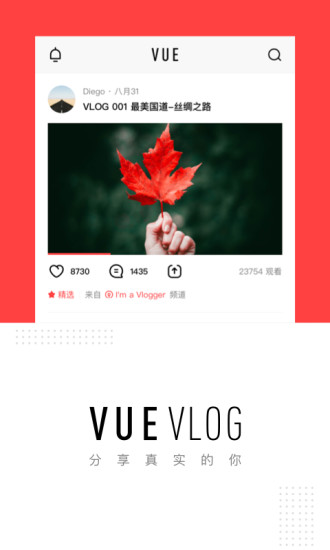 VUE