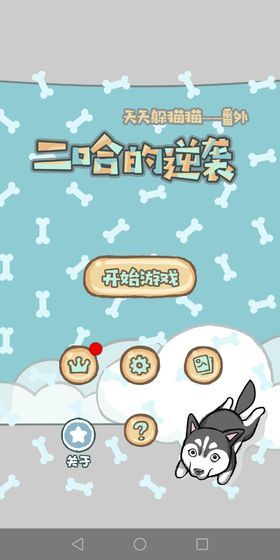 媽媽我想養(yǎng)二哈