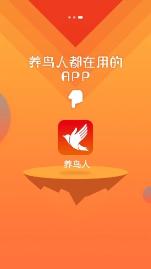 養(yǎng)鳥人