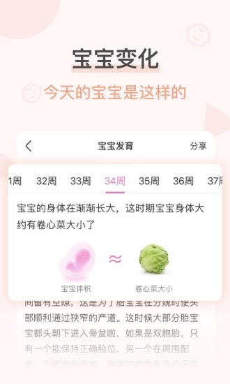 柚寶寶