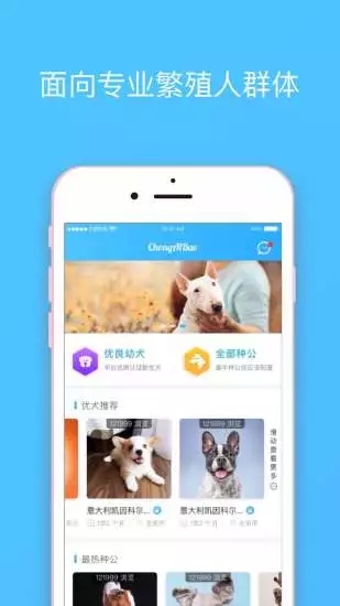 寵愛堡