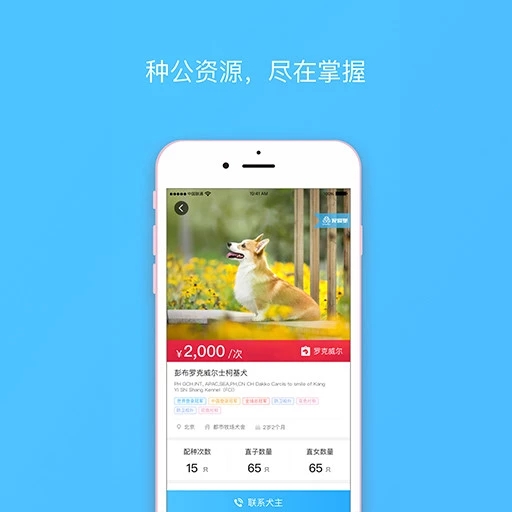 寵愛堡