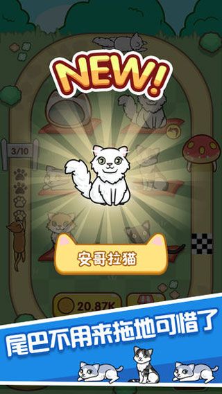 跑跑云養(yǎng)貓
