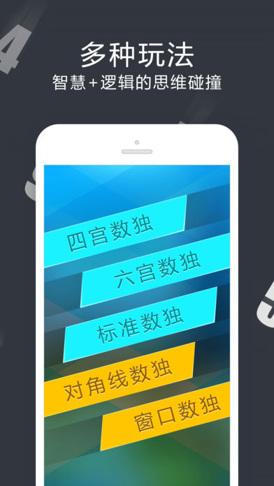 數(shù)獨王者