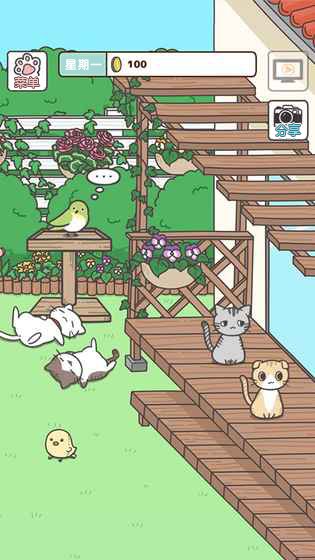貓咪飼養日常 中文版