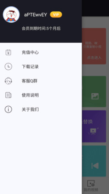 小視頻無水印工具