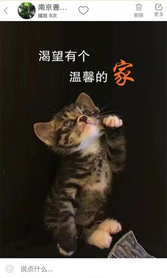 華夏善寵