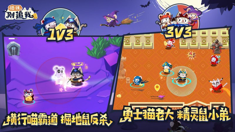貓咪別追我 官方版