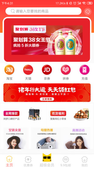 貓指導