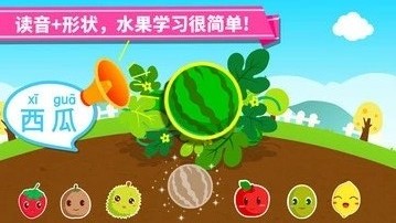 寶寶學水果