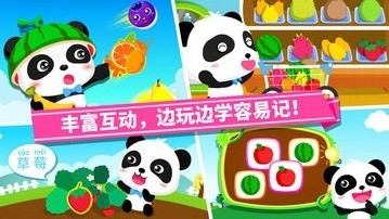寶寶學水果