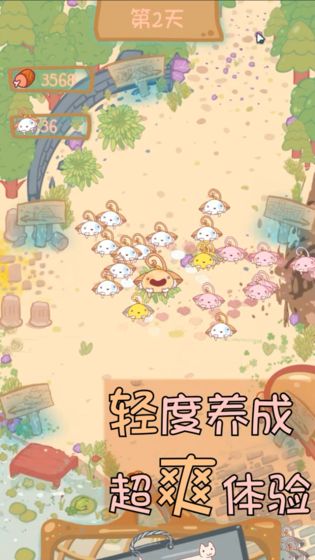 貓咪生存日記
