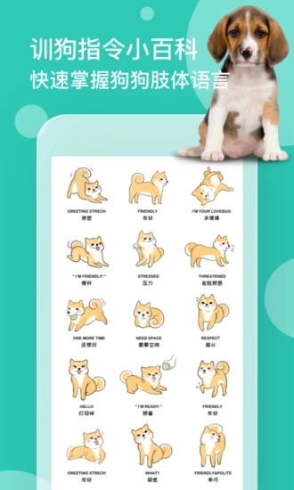 狗語翻譯