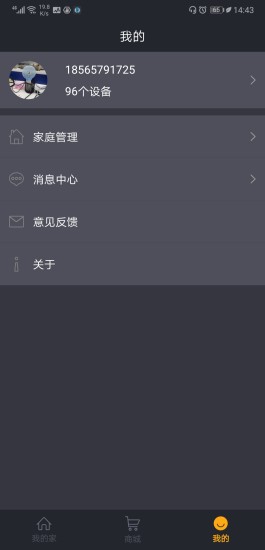亮精靈