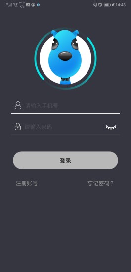 亮精靈