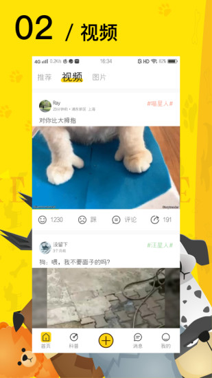 愛寵星球