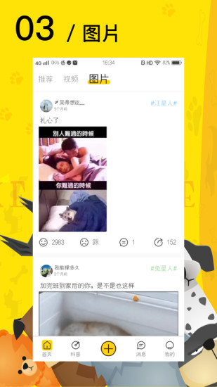 愛寵星球