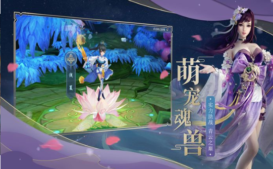 夢回仙宮