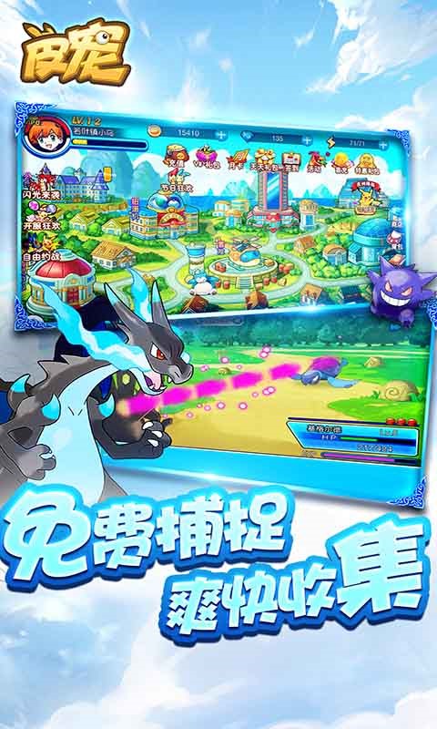 皮宠   果盘版