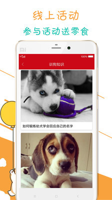 寵物狗狗百科