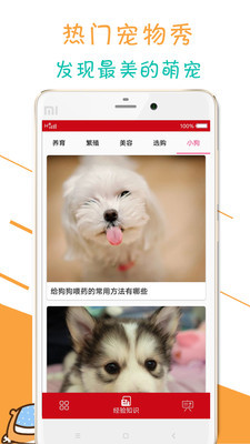 寵物狗狗百科