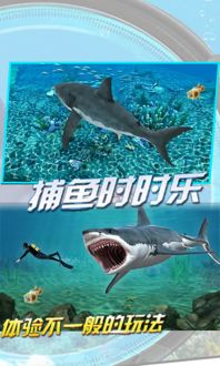 海底狩獵場