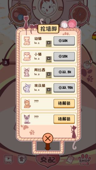 云擼貓咪