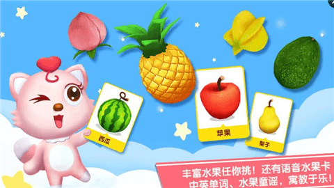 水果拼盤貓小帥