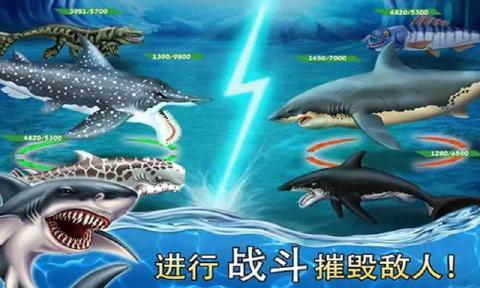 鯊魚世界